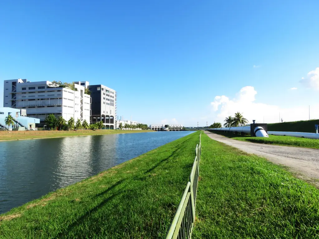 2025年电子元器件市场趋势及国产化替代进程观察