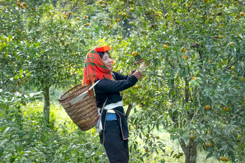 电子元器件与自动化控制设备在生产线中的集成应用案例