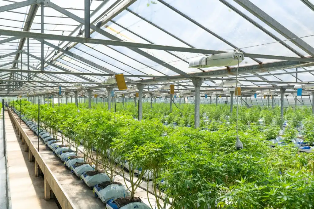 自动化控制系统中传感器与仪器仪表的选型原则