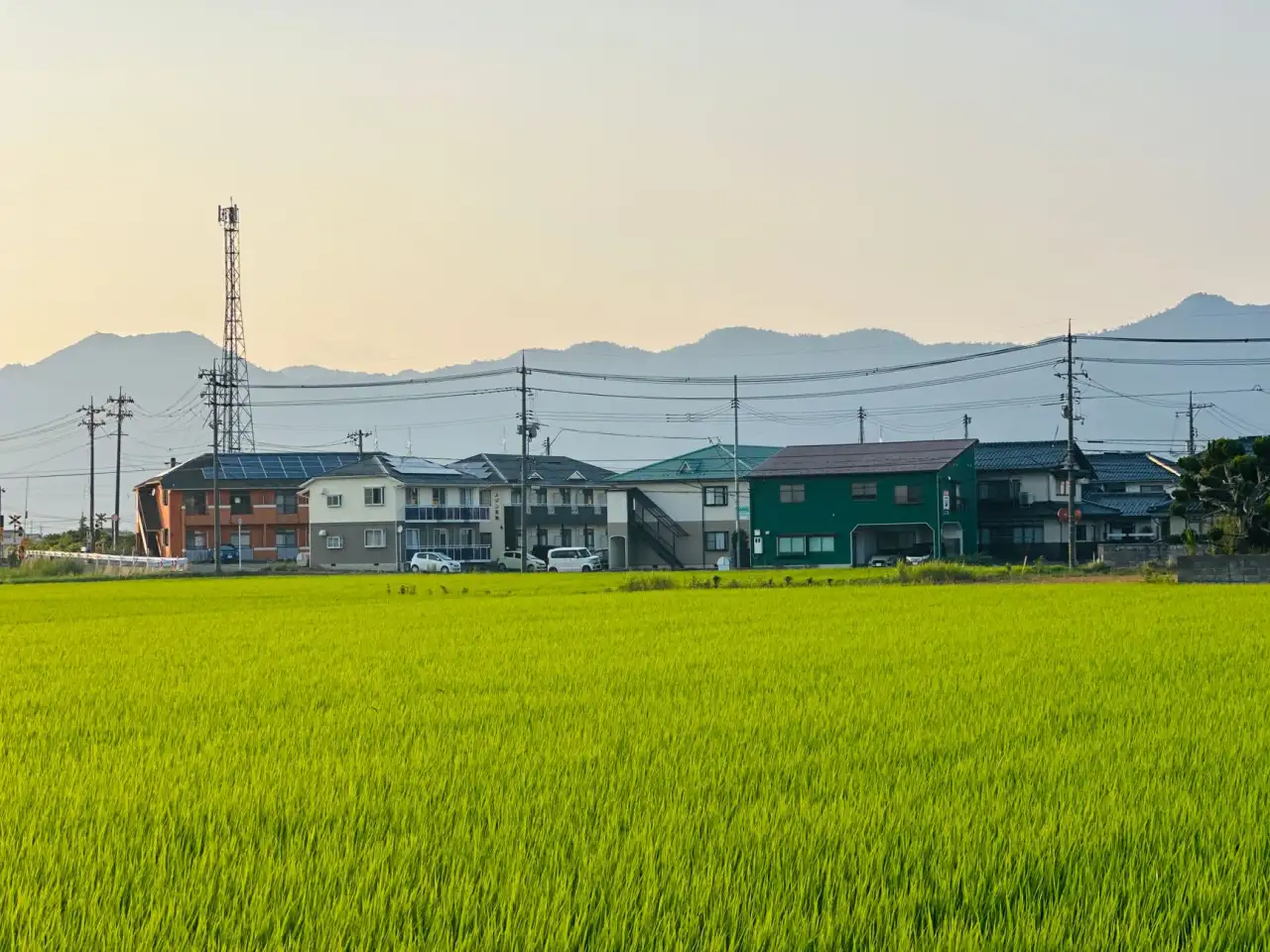 2025年电子元器件市场趋势及国产化替代进程观察